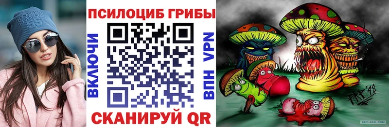 Галлюциногенные грибы GOLDEN TEACHER  Кузнецк 